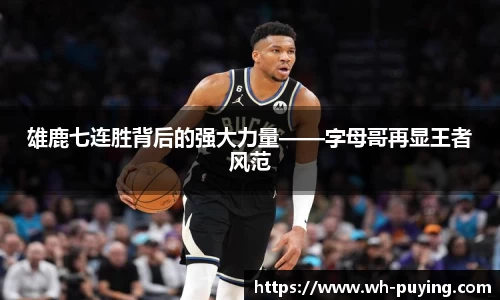 雄鹿七连胜背后的强大力量——字母哥再显王者风范
