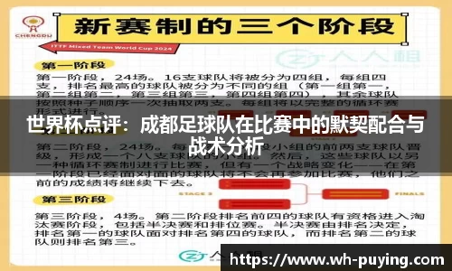 世界杯点评：成都足球队在比赛中的默契配合与战术分析