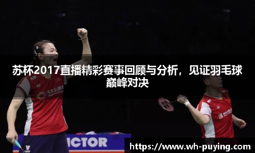 苏杯2017直播精彩赛事回顾与分析，见证羽毛球巅峰对决