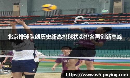 竞技宝官网