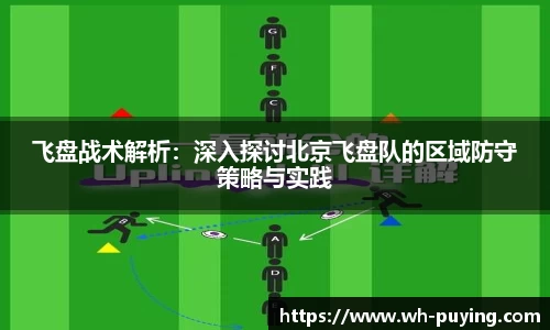 飞盘战术解析：深入探讨北京飞盘队的区域防守策略与实践