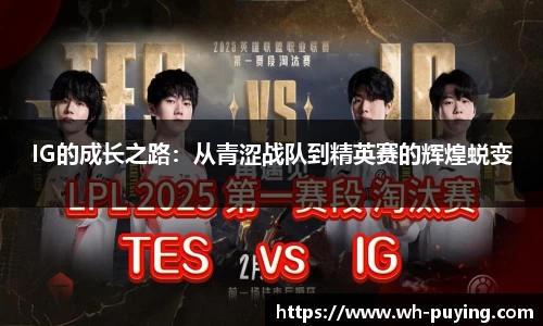 IG的成长之路：从青涩战队到精英赛的辉煌蜕变