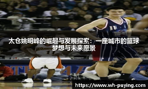 JJB竞技宝官网