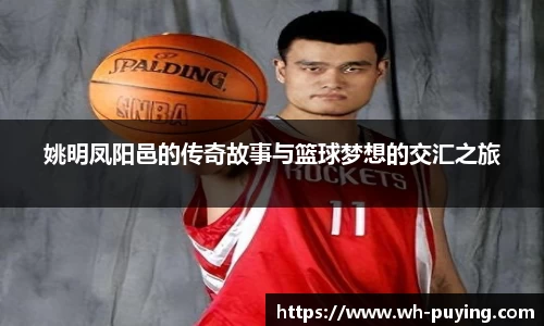 姚明凤阳邑的传奇故事与篮球梦想的交汇之旅