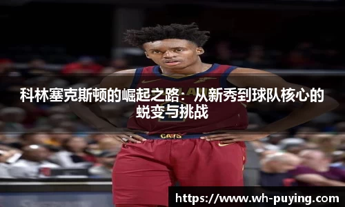 JJB竞技宝官网