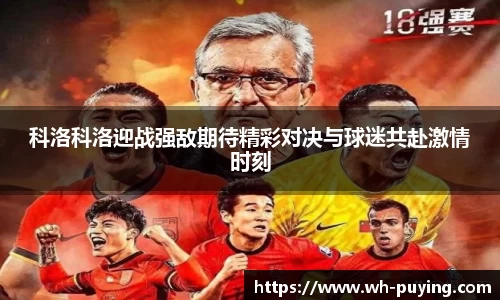 JJB竞技宝官网
