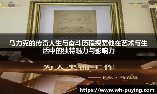 JJB竞技宝官网