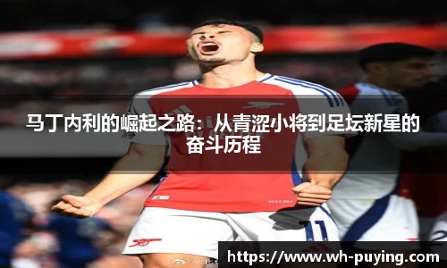 马丁内利的崛起之路：从青涩小将到足坛新星的奋斗历程