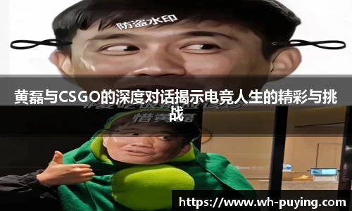 黄磊与CSGO的深度对话揭示电竞人生的精彩与挑战