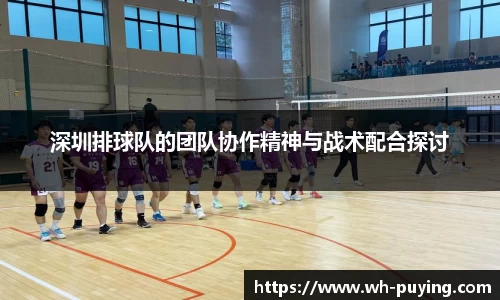 竞技宝JJB